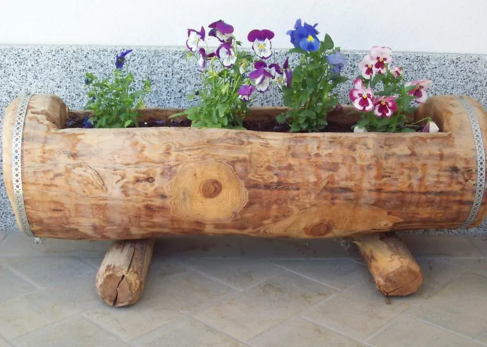 B&B Nido Delle Aquile