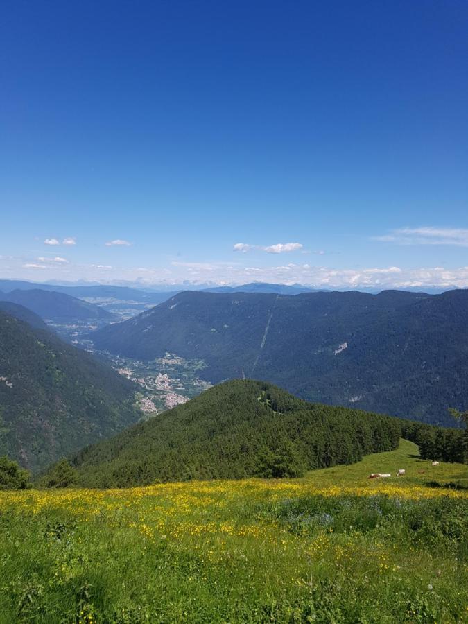 Bed & Breakfast Nido Delle Aquile
