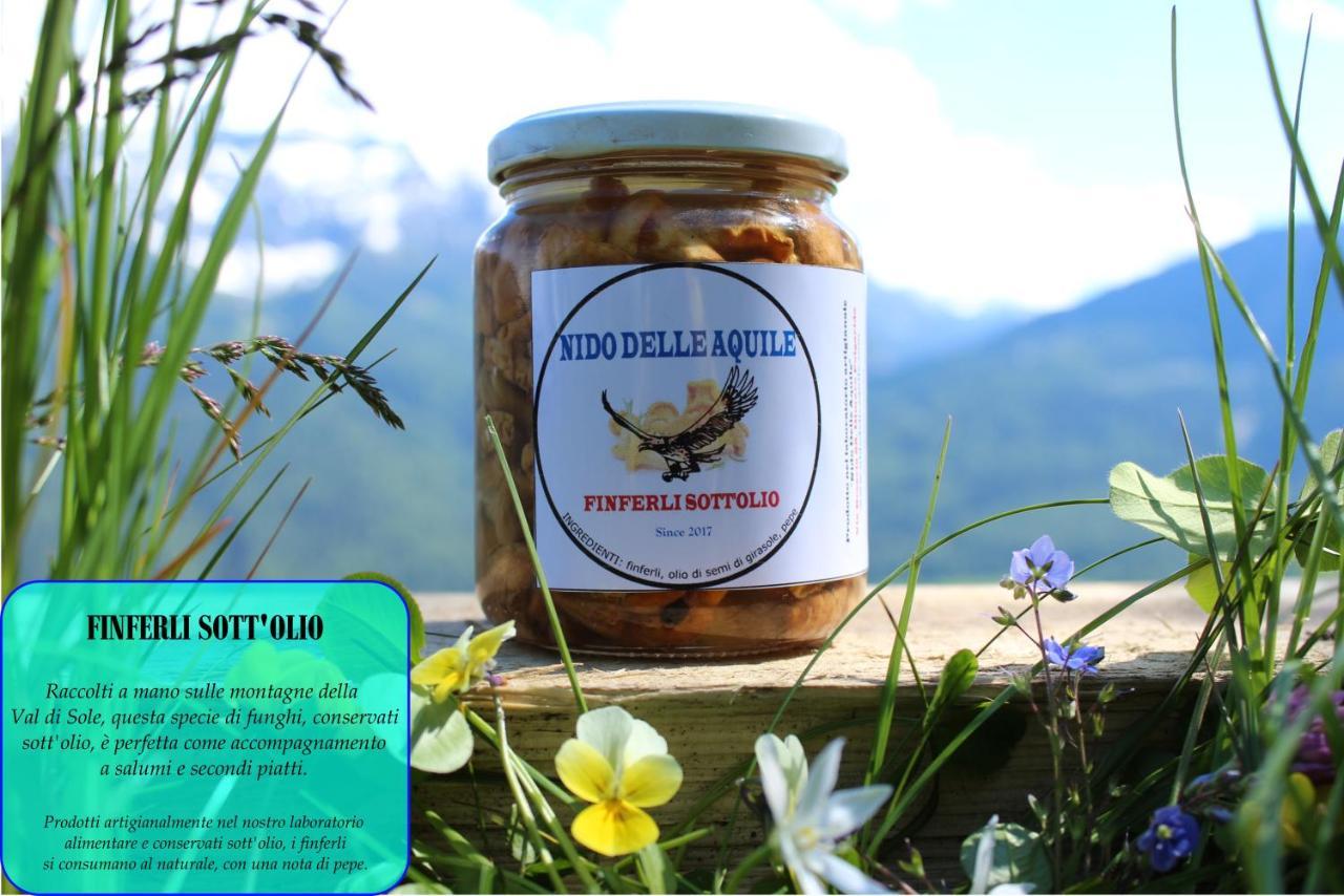 Nido Delle Aquile Monclassico